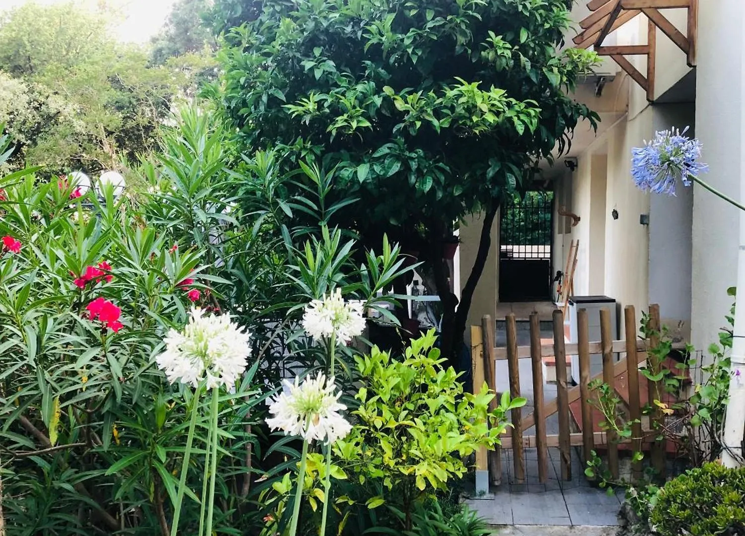 Saint-RaphaëlT2 En Rez-De-Jardin Fleur De Selアパートメント